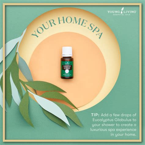 Young Living's July 2022 Gifts With Purchase.
